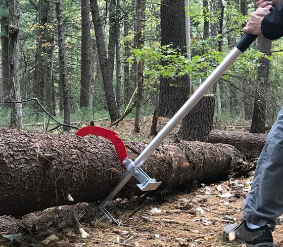 Log splitter accessory for firewood processing