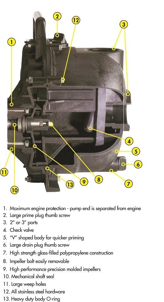 2 Inch Banjo Dewatering Pump Honda GX160 (205PH-5-160.BAN) at Wood Splitter Direct
